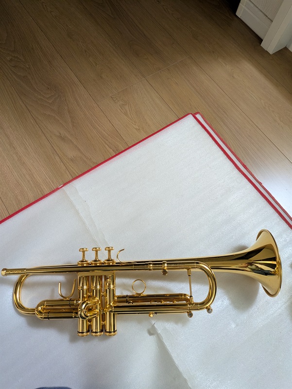 その他ブランド(管楽器・吹奏楽器) Bach-SPADA  37 ML GPの画像